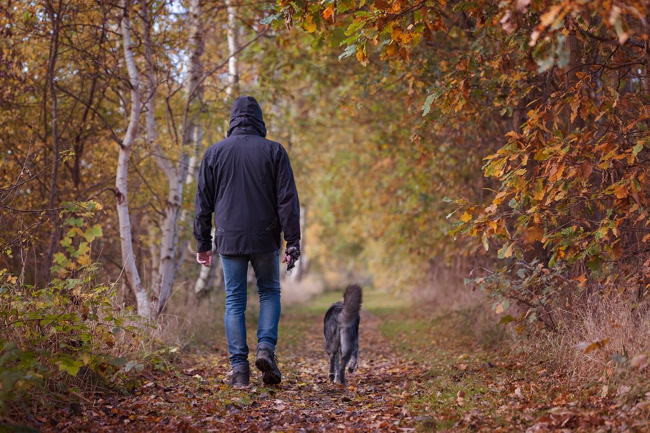 Spacery z psem podczas brzydkiej pogody – w co warto się wyposażyć?