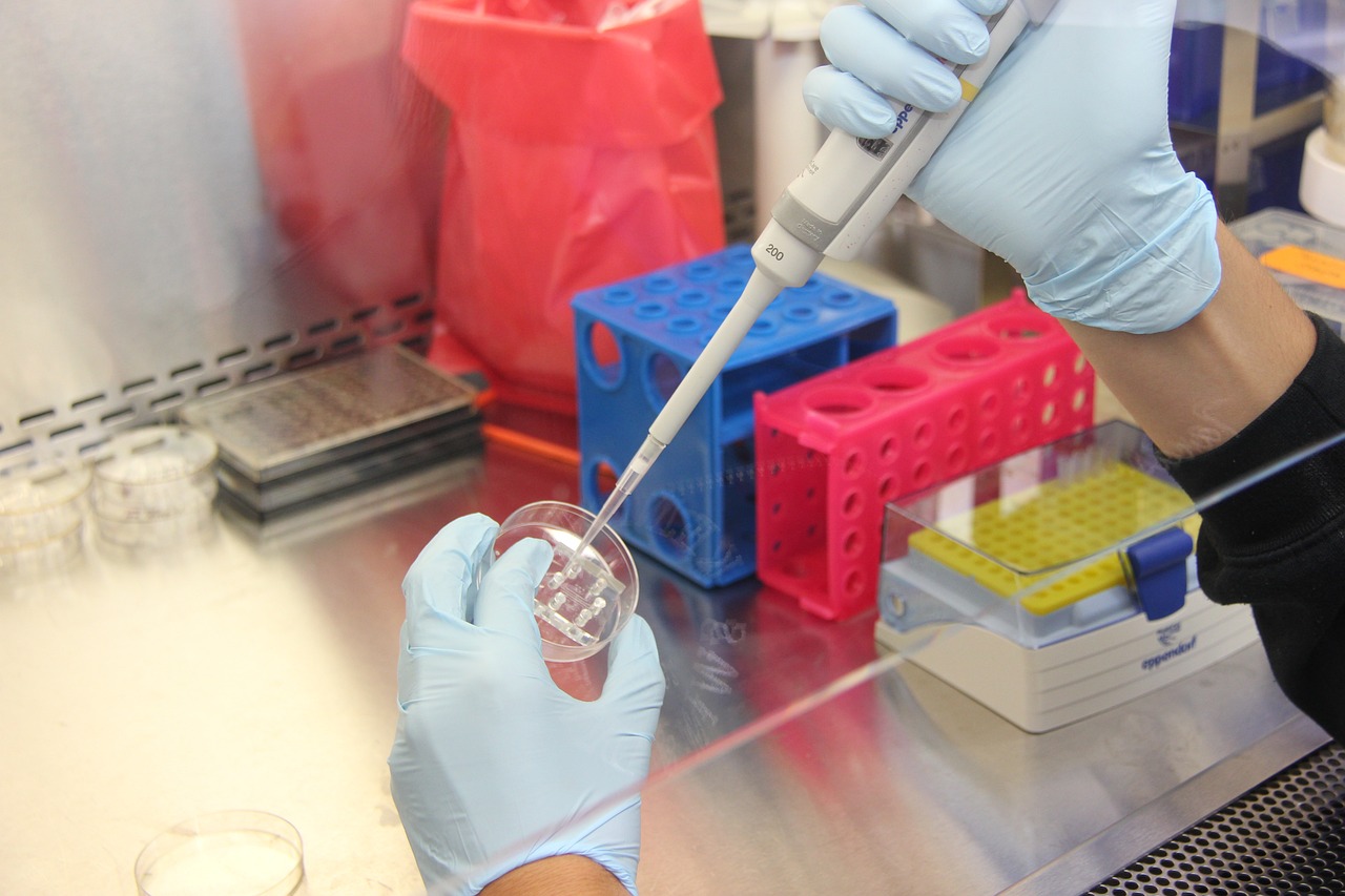 laboratories-27.jpg